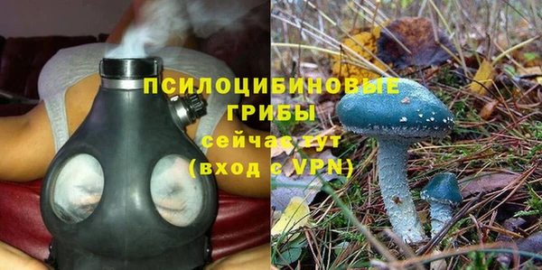 сатива Богородск