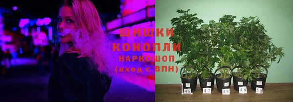 сатива Богородск