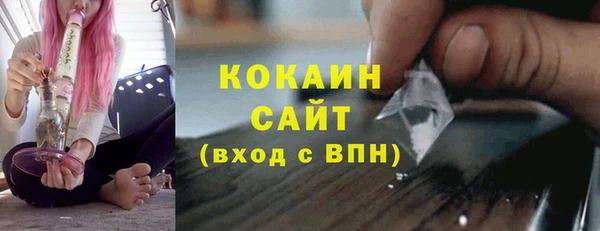 сатива Богородск
