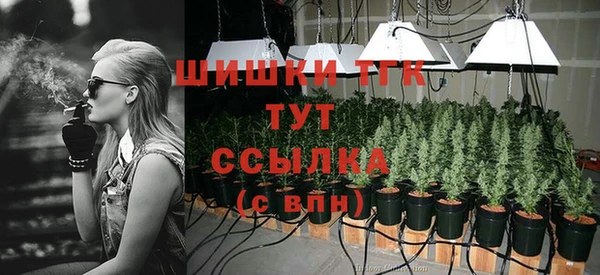 метадон Богородицк