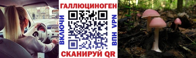 Купить  Рудня  Галлюциногенные грибы прущие грибы 